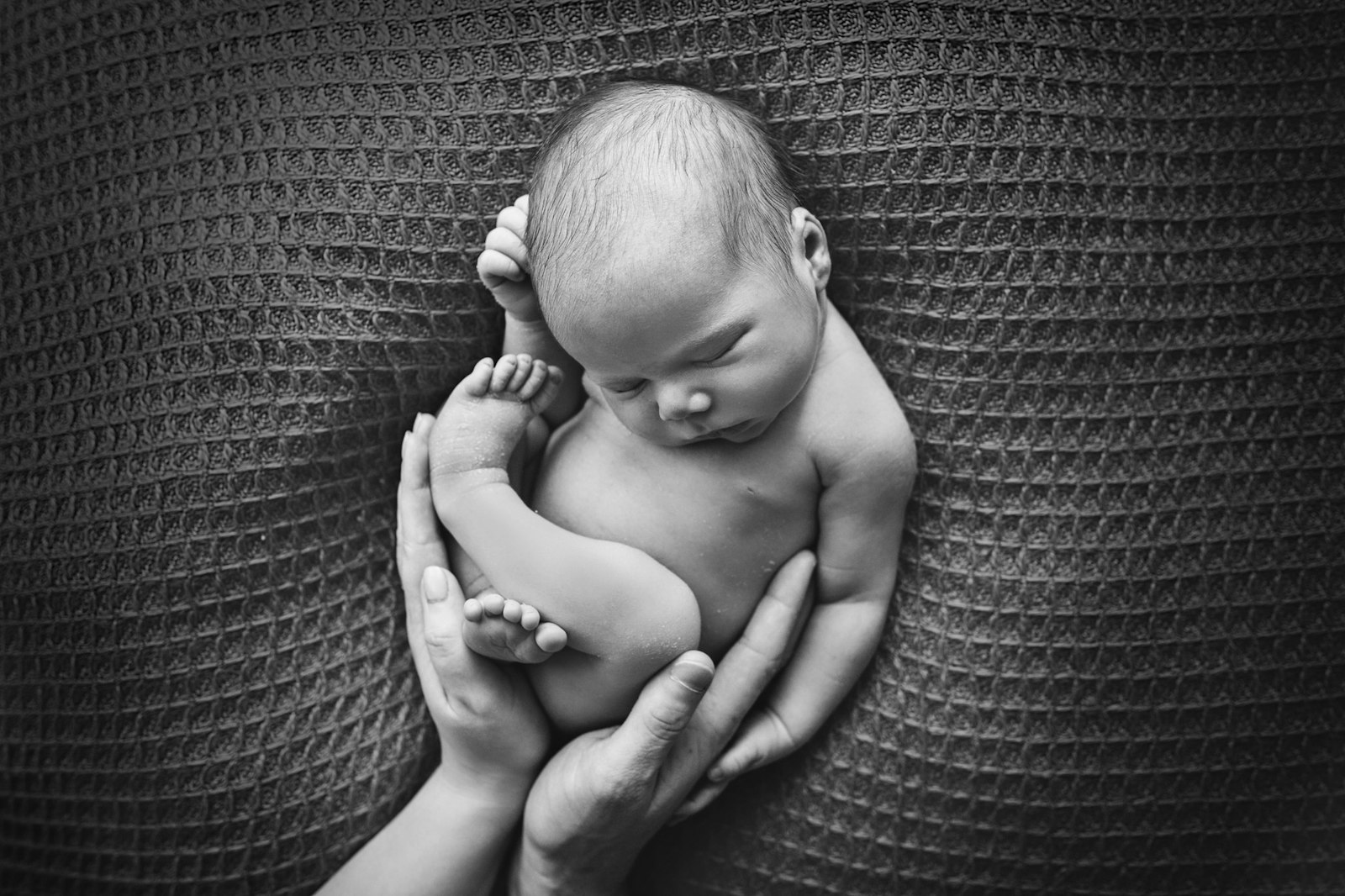 Baby Ted | 38