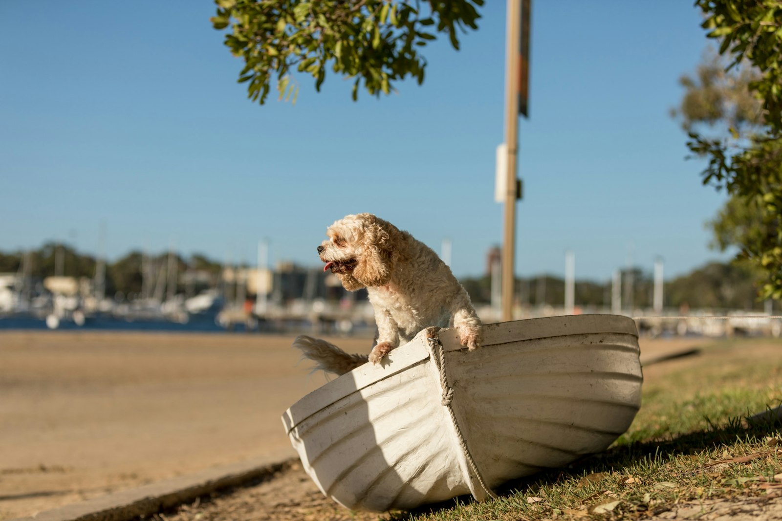 2018-0117-Tilly (16 of 38) - All Rights Reserved © 2017 Jo Lyons Photography