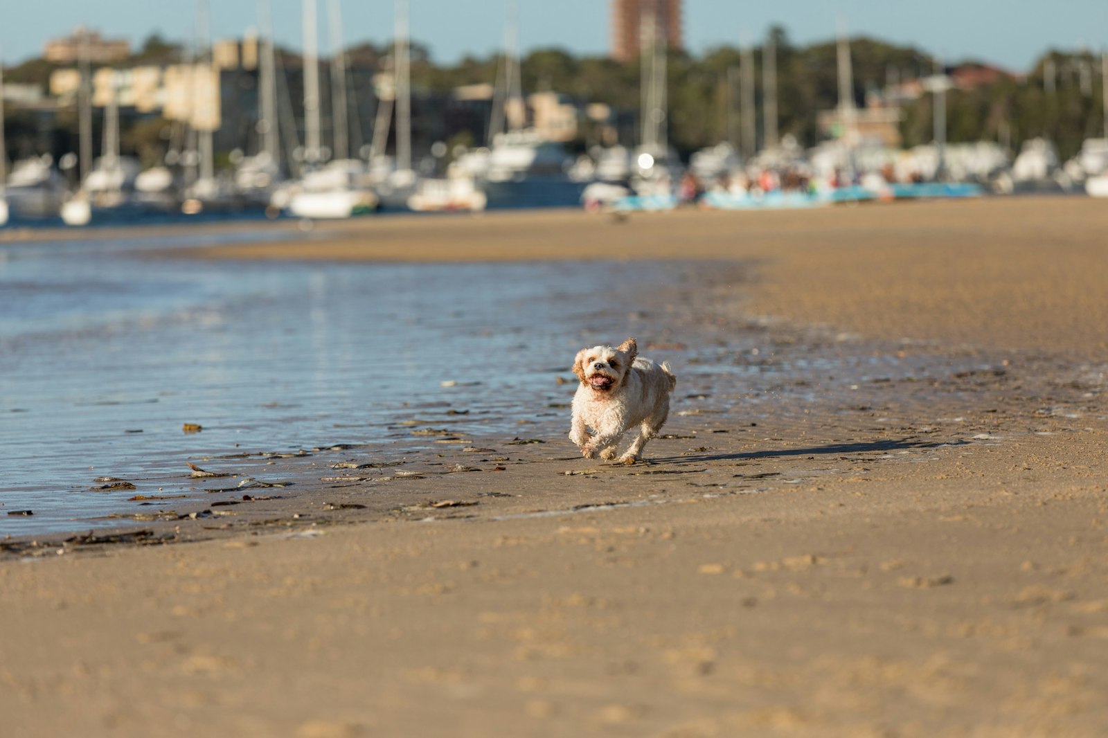 2018-0117-Tilly (19 of 38) - All Rights Reserved © 2017 Jo Lyons Photography