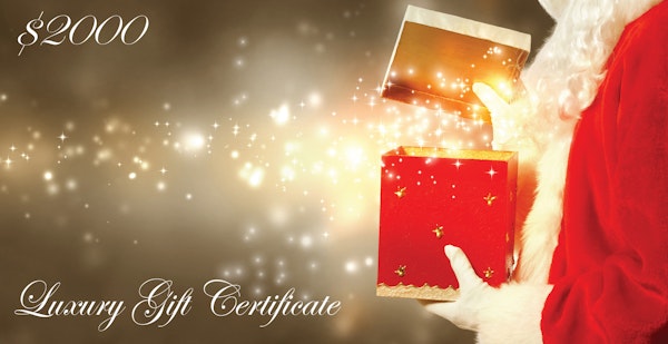 $2000 Gift Certificates - $2000 Gift Certificate towards a personal photo session and custom artwork designed by Tina Mahina.
