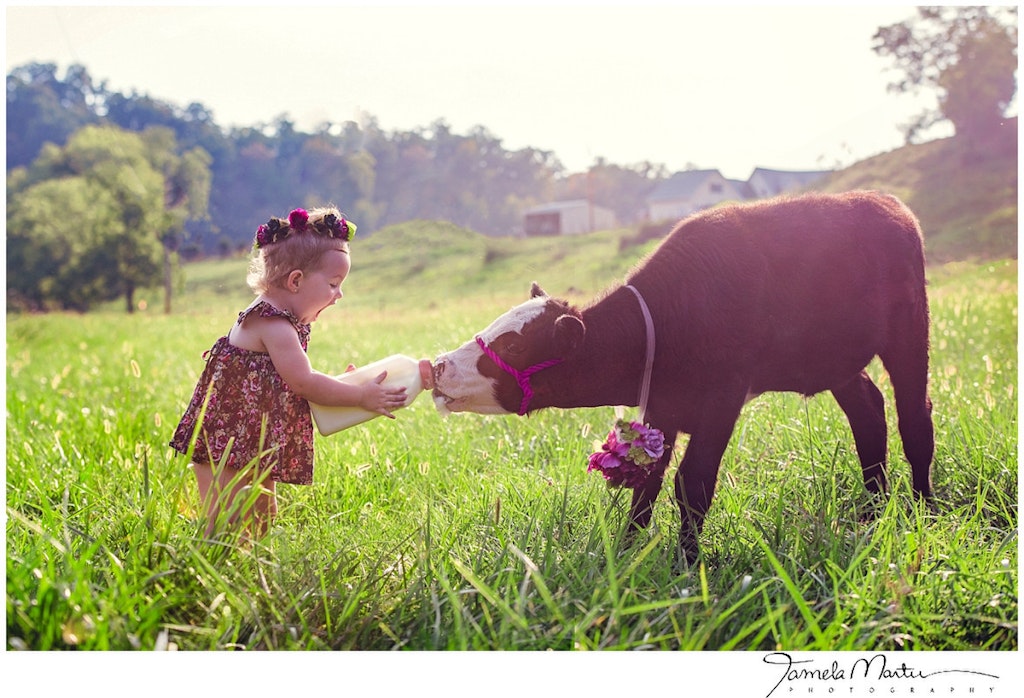 Tamela Martin Photography West Virginia Childrens Photographer_0135